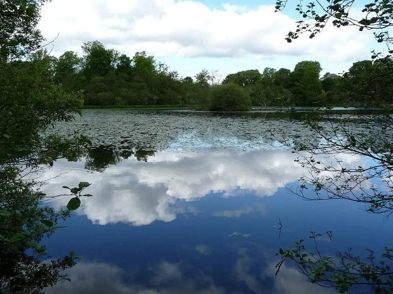 Help protect local heritage