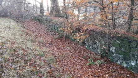 A Dougalston ha-ha where it meets Baldernock Road near the start of the Woodland Walk. This ha-ha parallels the Woodland Walk from Baldernock Road to near where the very large beech tree has been felled.