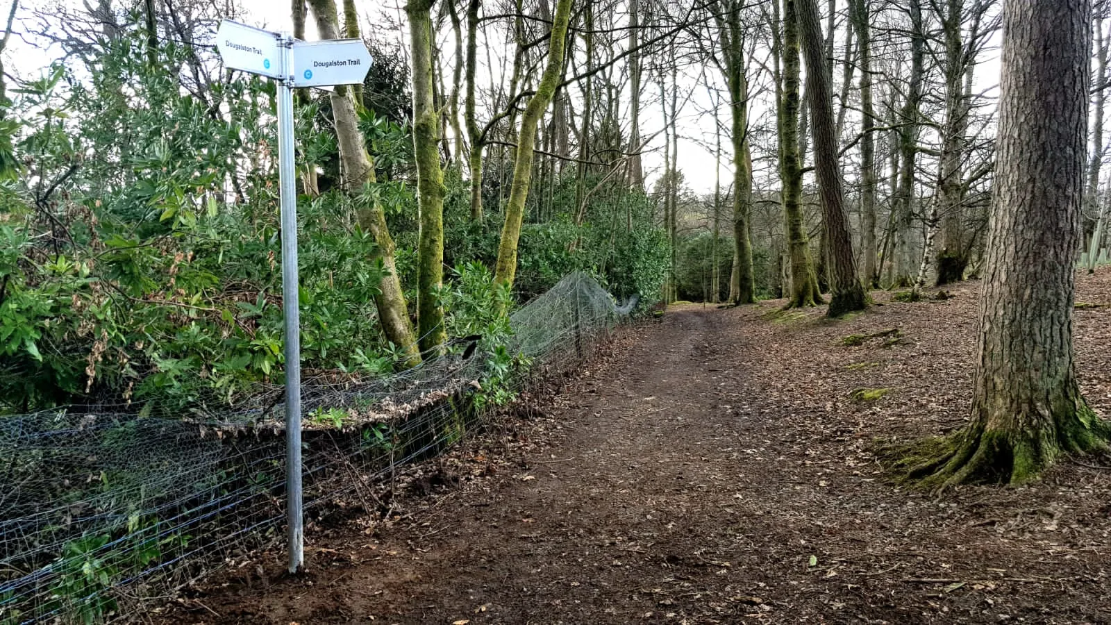 Ground-breaking report by Woodland Trust reveals the true state of UK woods and trees