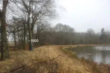 Paul Bishop taking a core for tree-ring dating of a beech on the upthrown bank that forms the Ladies Pond. This beech has a sprouting date of about 1800 and was probably planted out on the bank of the Ladies Pond in about 1804.