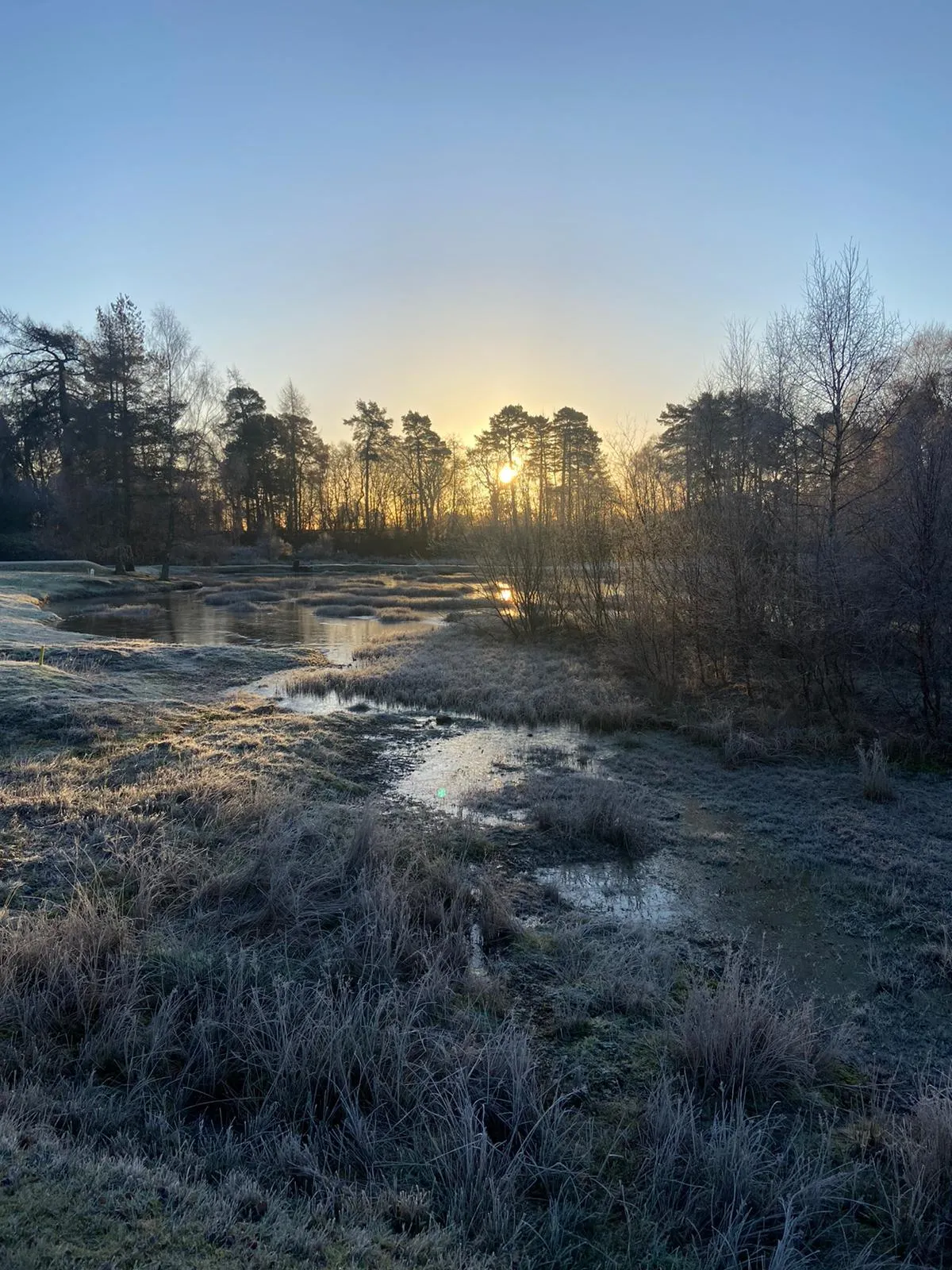 £3bn UK climate finance to be spent on supporting nature